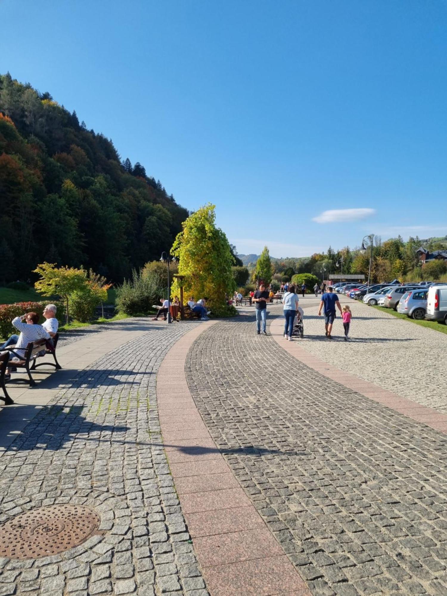 Willa "Komancza" Szczawnica Ruska Bania - Jacuzzi & Sauna Экстерьер фото